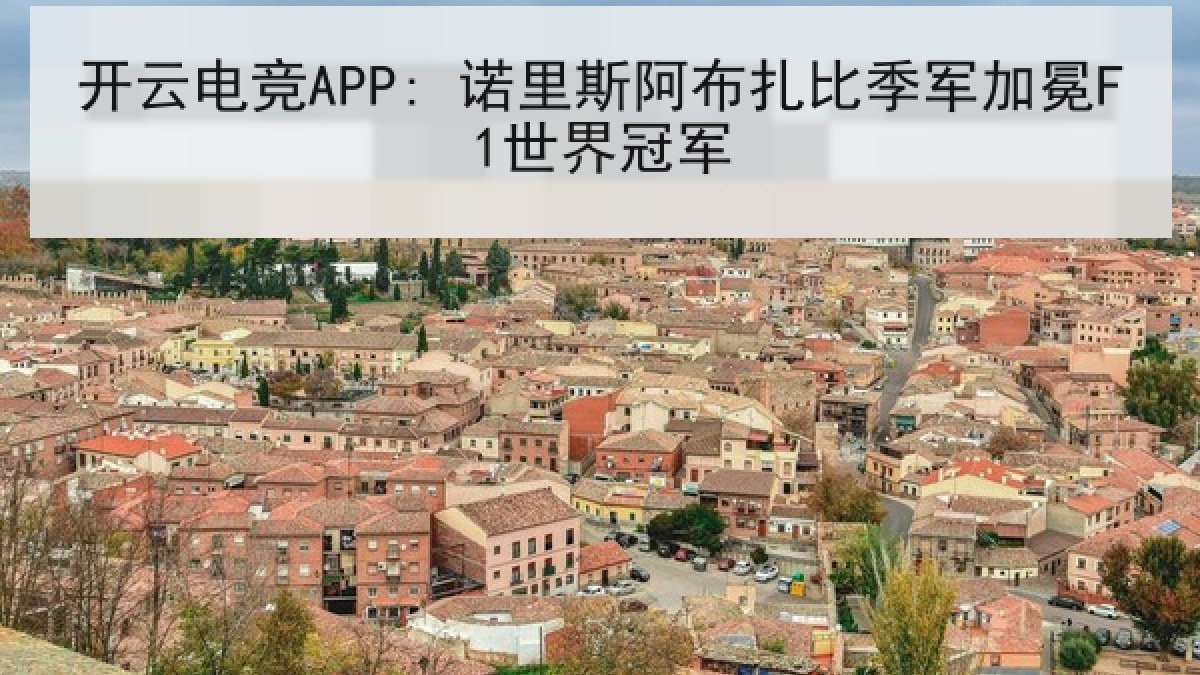 开云电竞APP: 诺里斯阿布扎比季军加冕F1世界冠军