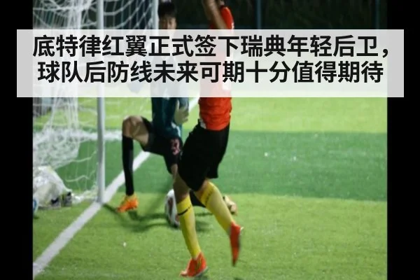 底特律红翼正式签下瑞典年轻后卫，球队后防线未来可期十分值得期待