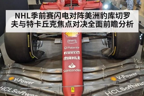 NHL季前赛闪电对阵美洲豹库切罗夫与特卡丘克焦点对决全面前瞻分析