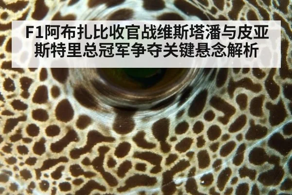 F1阿布扎比收官战维斯塔潘与皮亚斯特里总冠军争夺关键悬念解析